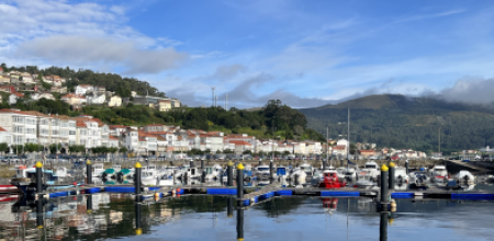 portada_boletin_n_12