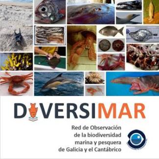 cartel_jornada_tecnica_diversimar.jpg