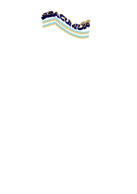 logo SEACUMUR topdef.png