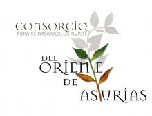 LOGOTIPO-Consorcio-GRANDE-c.jpg