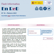 Portada_FLASH_N16_Febrero.PNG