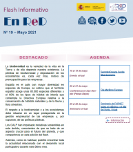 portada_flash_n_19_mayo.PNG