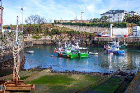 Foto del Puerto de Vega