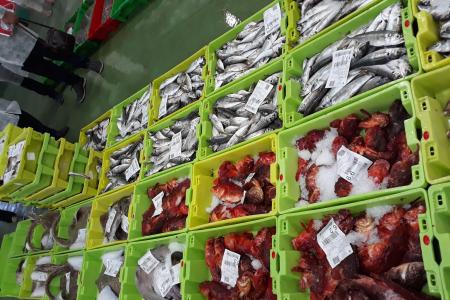 cajas de pescado en la lonja de Burela (Galicia)