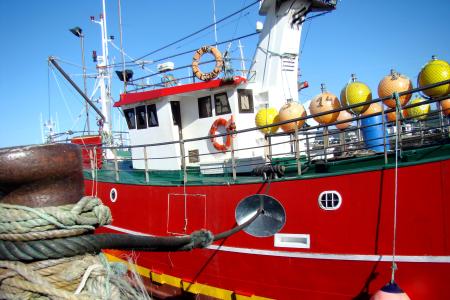 190408barcos_tcm30-507785.jpg