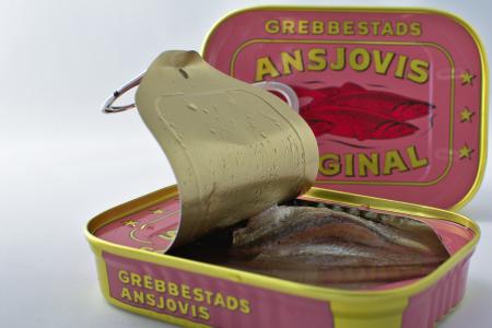 anchovy-g20b068f16_1920.jpg