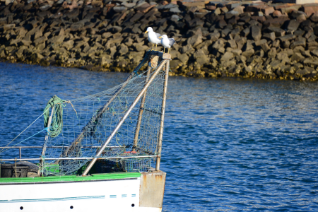 barcos_huelva.png