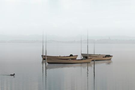 boats-564922_1920.jpg