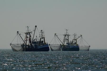 boats-g2f6b854d2_1920.jpg