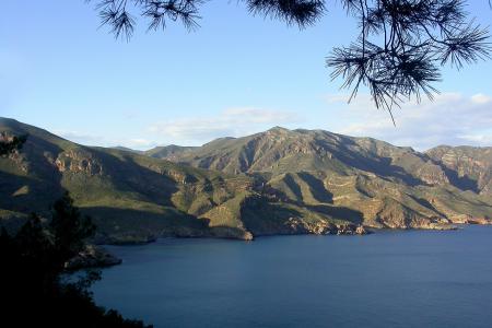 costa_murcia_turismo_marinero.jpg