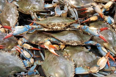 crab-g6368492aa_1920.jpg