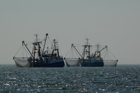 curso_patron_de_pesca_gac_tenerife.jpg
