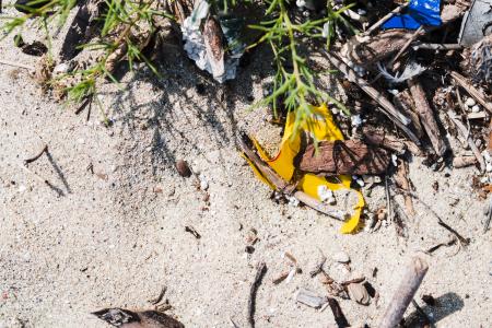 elevated-view-of-garbage-on-sand-at-outdoors.jpg