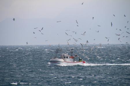 fishing-boat-g4003a48f0_1920.jpg