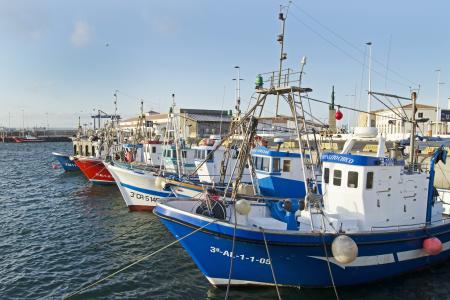 fishing-boats-3812832_1920.jpg