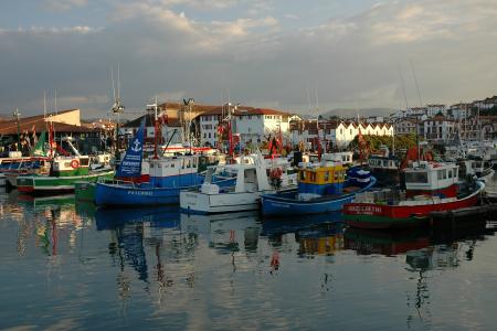 fishing-boats-421614_1920.jpg