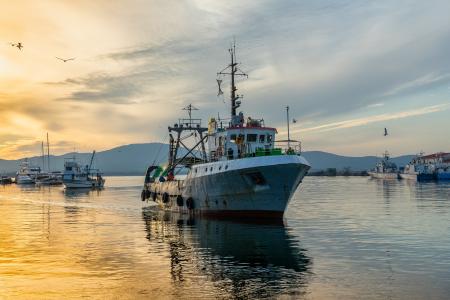 fishing-vessel-g339d8e688_1920.jpg