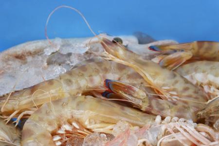 king-prawns-1416801_1920.jpg