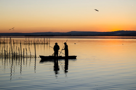 la_albufera_navegar.png