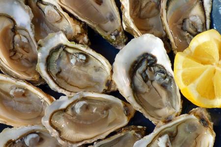 oysters-g891478b29_1920.jpg