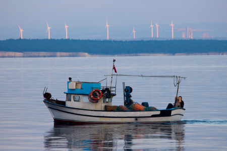 pesca_turismo_barcos.png