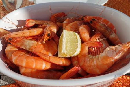 prawns-1776527_1920.jpg