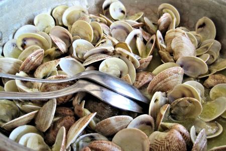 steamed-clams-g235dc934a_1920.jpg