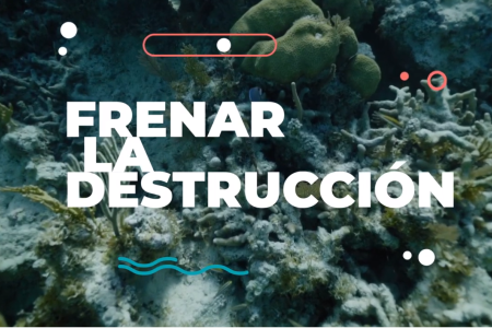 2020-06-24 08_59_35-Diveasapp y la Conservación Marina - YouTube.png