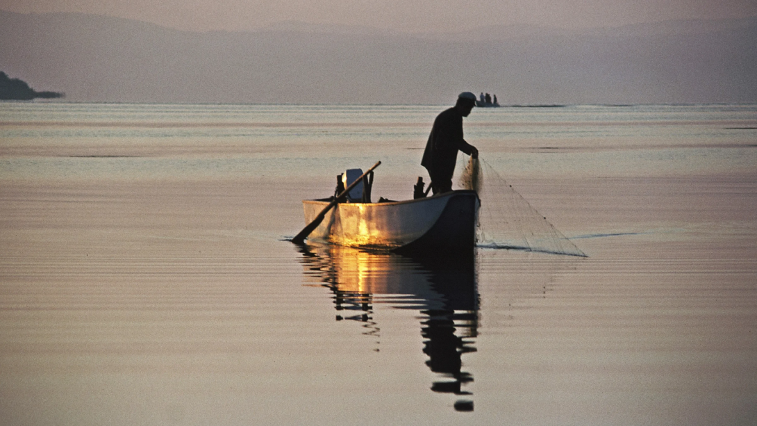 barco_madera_1.png