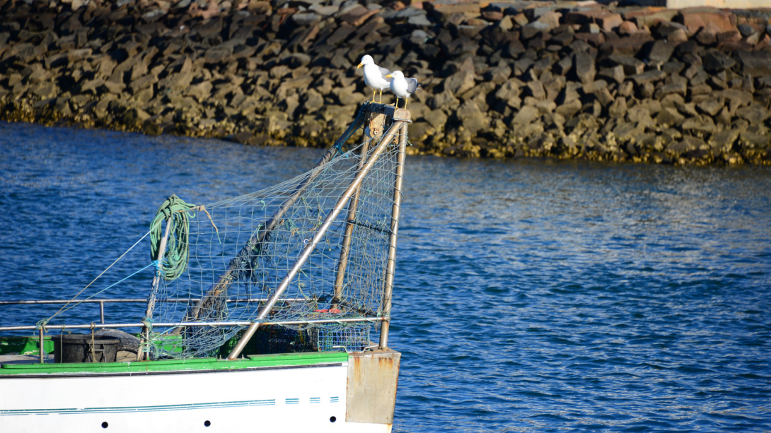 barcos_huelva.png