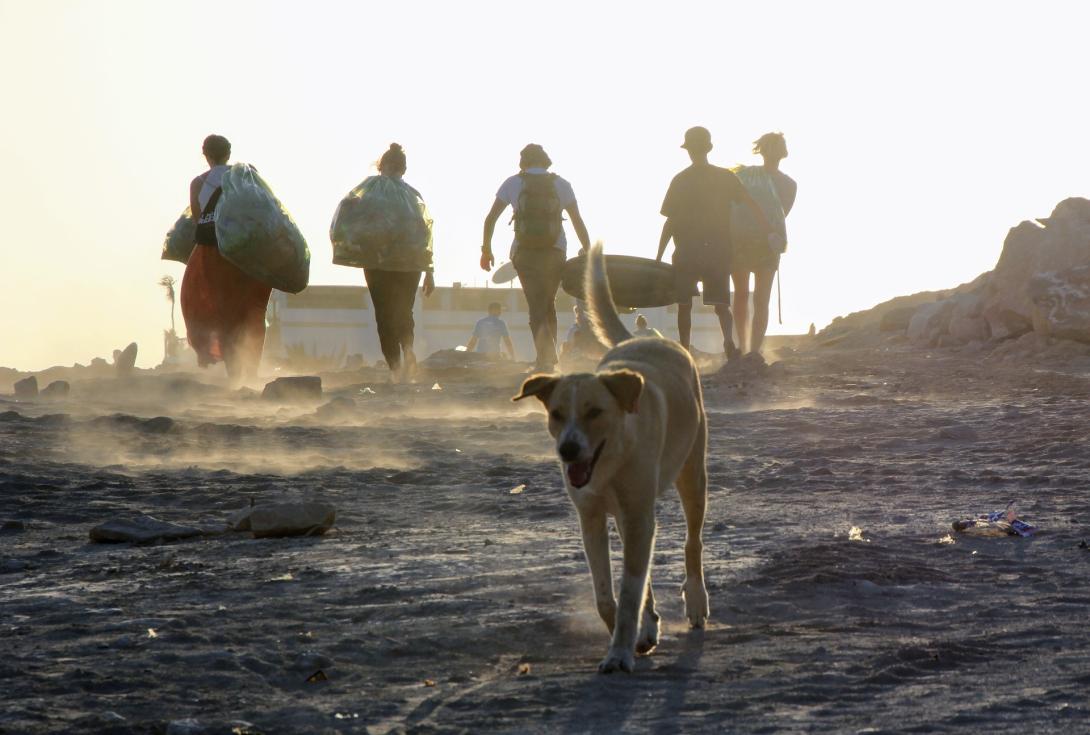 beach-cleaning-g11a9f2372_1920.jpg