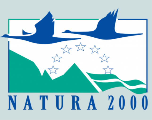 csm_Progetto_senza_titolo__1__45aba22823.png