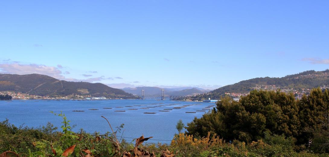 estuary-of-vigo-1007496_1920.jpg