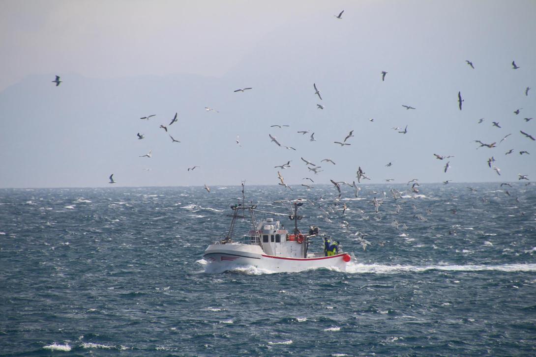 fishing-boat-gcf9ac6435_1920.jpg