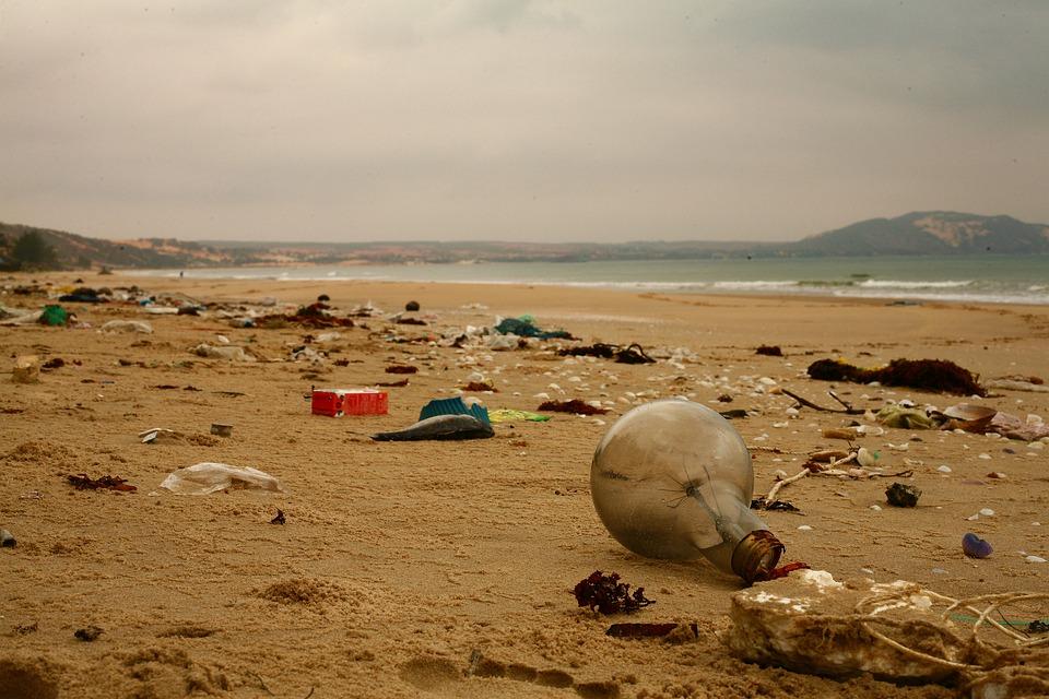 limpieza_de_playas_basura_marina.jpg