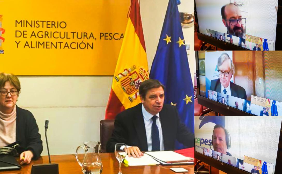 luisplanasvideoconferencias.jpg