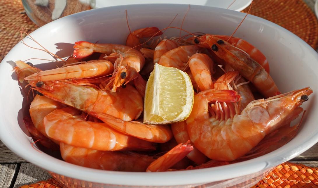 prawns-1776527_1920.jpg