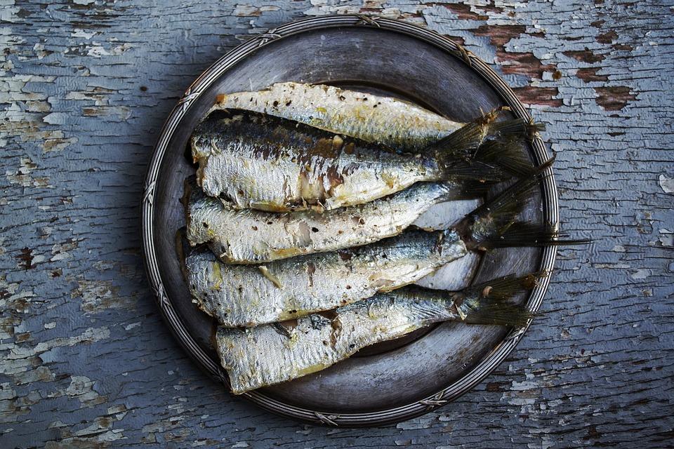 sardinas.jpg