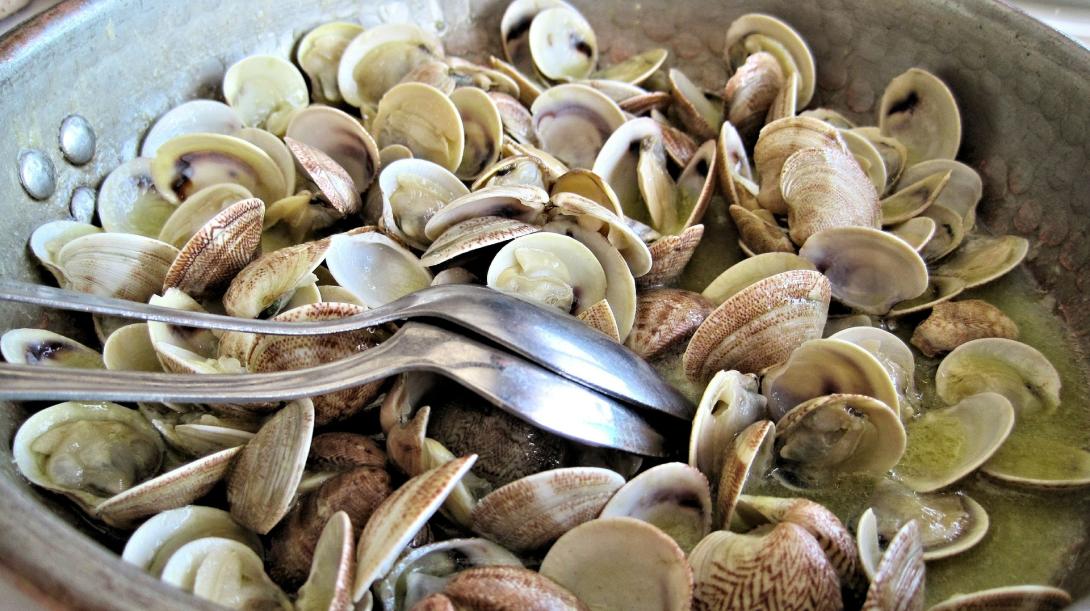 steamed-clams-gc5dce283f_1920.jpg